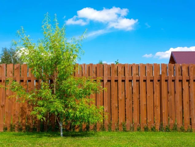 Nettoyage de mur et clôture extérieur